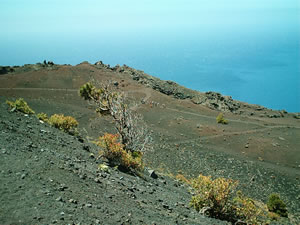 lapalma_teneguia